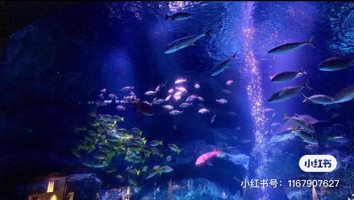 03#睛空塔热门旅游景区 最近车站步行3分钟 机场直达 周边有便利店 商场 温泉 购物餐饮方便 Apartament *
